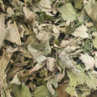 Ліщина звичайна листя сушені 100 г - зображення 1