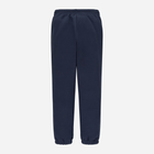 Підліткові спортивні штани-джогери для хлопчика Levis 9EJ763-C8D 158 см (14A) Темно-сині (3666643020859) - зображення 2