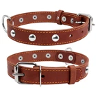 Ошейник "CoLLaR" одинарный с украшениями (ширина 20мм, длина 32-40см) коричневый