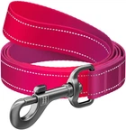 Поводок для собак нейлоновый WAUDOG Nylon Mono светоотражающий L-XXL 25 мм 122 см Розовый (52197Collar)