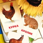 Картки Домана ''Домашні тварини'' українською мовою, у наборі 15 карток