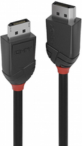 Kabel Lindy Black Line DisplayPort 1 m Black (4002888364911) - obraz 1