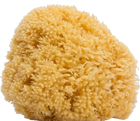 Мочалка для тіла Suavinex Natural Sponge (8426420302920) - зображення 1