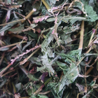 Водяний перець/гірчак перцевий трава сушеная 100 г - зображення 1
