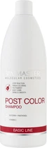 Шампунь після фарбування Spa Master Basic Line Finish Coloring Post Color Shampoo 970ml (817229-856994-2)
