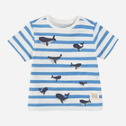 Дитяча футболка для хлопчика Cool Club CCB2401794 62 см Синя (5903977262400) - зображення 3