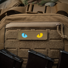Нашивка M-Tac Cat Eyes Laser Cut Coyote/Yellow/Blue/GID - зображення 5