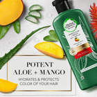 Odżywka do włosów Herbal Essences Bio Renew Extra Aloe And Mango 380 ml (8001841500829) - obraz 3