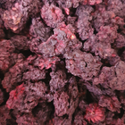 Ежевика сушеные ягоды/плоды 100 г - изображение 1