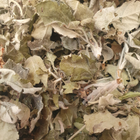 Айва листя сушене 100 г - зображення 1