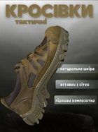 Кросівки тактичні Undolini olive ВТ0966 43 - зображення 3