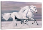 Картина на холсте в гостиную / спальню Пара Коней MLP_256 (30х60 см)