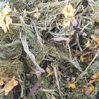 Адонис весенний/горицвет трава сушеная 100 г - изображение 1