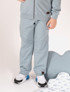 Дитячі спортивні штани для хлопчика Nicol 205275 80 см Сірі (5905601016953) - зображення 1