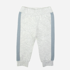 Дитячі спортивні штани для хлопчика Nicol 205277 122 см Сірі (5905601017301) - зображення 1