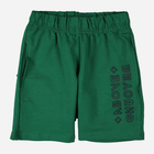 Дитячі шорти для хлопчика Tup Tup PIK4120-5000 110 см Зелені (5907744044374) - зображення 1
