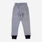 Дитячі спортивні штани для хлопчика Tup Tup PIK4071-8010 104 см Сірі (5907744052225) - зображення 2