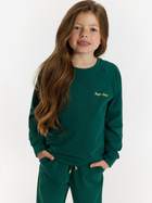 Дитячий спортивний костюм (світшот + штани) для дівчинки Tup Tup 101401-5000 104 см Зелений (5907744490638) - зображення 3