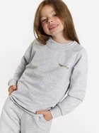 Дитячий спортивний костюм (світшот + штани) для дівчинки Tup Tup 101404-8110 116 см Сірий (5907744490959) - зображення 3