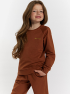 Дитячий спортивний костюм (світшот + штани) для дівчинки Tup Tup 101406-4620 116 см Коричневий (5907744491154) - зображення 3
