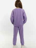 Дитячий спортивний костюм (світшот + штани) для дівчинки Tup Tup 101411-2510 110 см Фіолетовий (5907744491642) - зображення 2