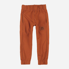Spodnie dresowe dziecięce dla chłopca Tup Tup PIK4060-4620 98 cm Brązowe (5907744498429) - obraz 1