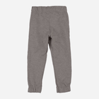 Підліткові теплі спортивні штани для хлопчика Tup Tup PIK5031-8110 158 см Сірі (5907744517137) - зображення 2