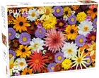 Puzzle Tactic Garden Flowers 500 elementów (6416739567471) - obraz 1
