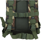 Рюкзак тактичний штурмовий Dominator, військовий 30L (камуфляж ліс) ON-076 - изображение 13