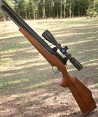 Пневматическая винтовка (РСР) ZBROIA Хортица 550/230 (коричневый)