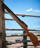 Пневматична гвинтівка (РСР) ZBROIA Хортиця 450/230 (коричневий) - зображення 1