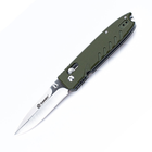 Нож складной Ganzo G746-1-GR - изображение 1