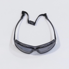 Захисні окуляри Pyramex Highlander Plus (gray) - зображення 8
