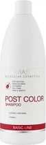 Шампунь після фарбування - Spa Master Basic Line Finish Coloring Post Color Shampoo 970ml (454311-31623970)