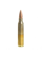 Фальш-патрон калібру 7,62х67 мм - .300 Winchester Magnum (.300 Win Mag) - зображення 1