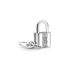 Серебряный шарм Пандора 790088C01.
