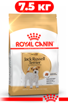 Сухой корм Royal Canin Jack Russel Terrier Adult для взрослых собак старше 10 месяцев