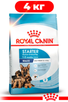 Сухой корм Royal Canin Maxi Starter для щенков крупных пород до 2 месяцев