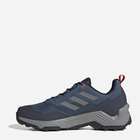 Чоловічі кросівки для треккінгу Adidas Terrex Eastrail 2 HP8608 46 Темно-сині (4066749948801) - зображення 3