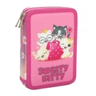Пенал школьный для девочки CFS Sweety Kitty "Котята" 20.5х14х4.5 см 2 отделения каркасный на молнии розовый (CF87281)