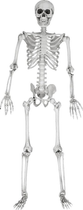 Figurka Mikamax Life Size Skeleton 170 cm (8719481357559) - obraz 4