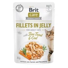 Вологий корм для кішок Brit Care Adult Cat Fillets in Jelly with Trout&Cod 85 г