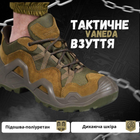 Тактичні Кросівки Vaneda oliva 42 - изображение 13