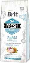 Сухий корм Brit Fresh Muscle&Joints для дорослих собак великих порід з рибою і гарбузом
