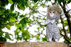 Іграшка для дітей InnoGIO GIOplush GIO Alpaca Gray Cuddly GIO-828 сіра (5903317816904) - зображення 5