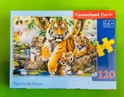 Пазли Castorland 120 шт (13517) Сім'я тигрів