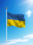 Флаг Украины государственный уличный габардин с кольцами для крепления на клипсы флагштока Сине-желтый 140 х 90 см Kayfovo UA-1