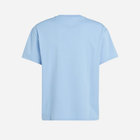 Koszulka męska bawełniana Tommy Jeans DM0DM18266-C3S XL Błękitna (8720646746309) - obraz 4