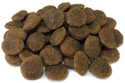 Karma dla psów Arquivet Grain Free indyk z warzywami 12 kg (8435117890343) - obraz 4