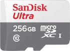 Карта памяти microSD 256Gb SanDisk Ultra Class 10 UHS-I (SDSQUNR-256G-GN3MN)